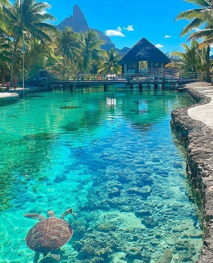travel