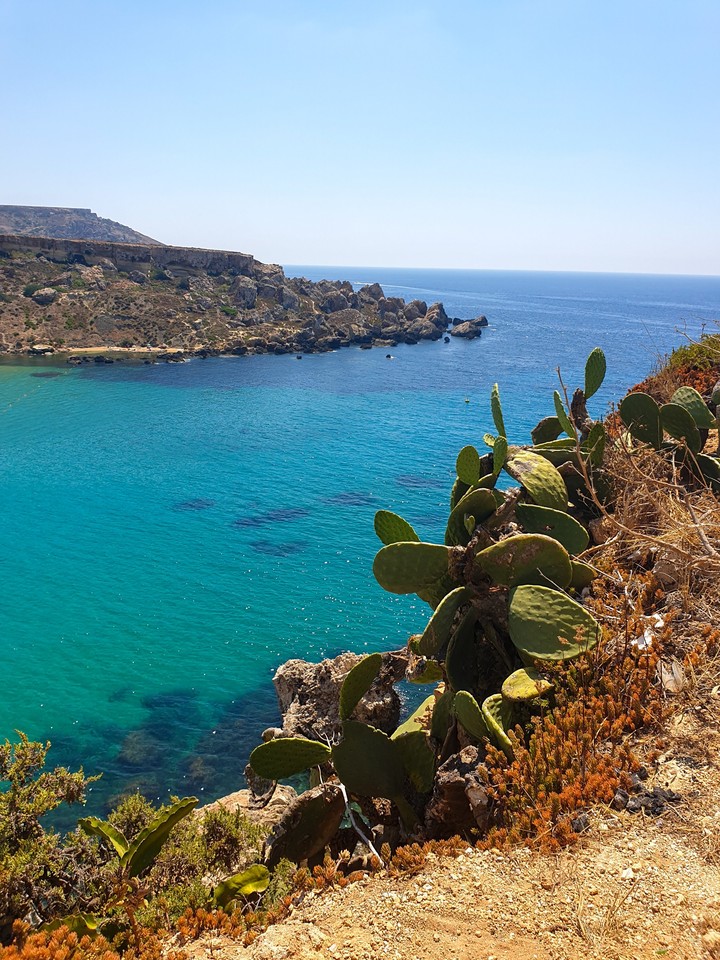 nature in Malta