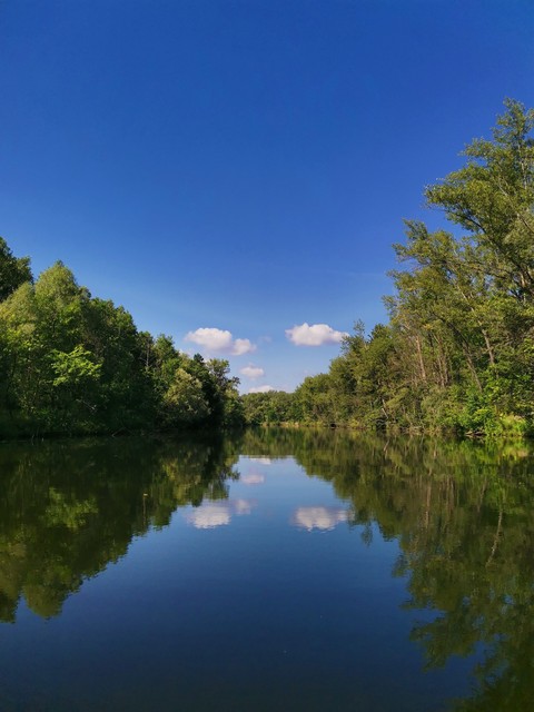 river, trees桌布