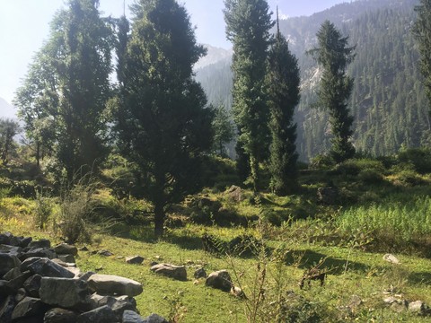 Himachal pradesh
