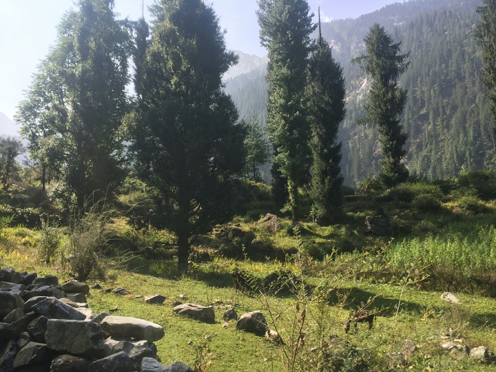 Himachal pradesh