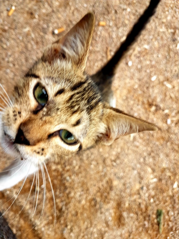 djerba