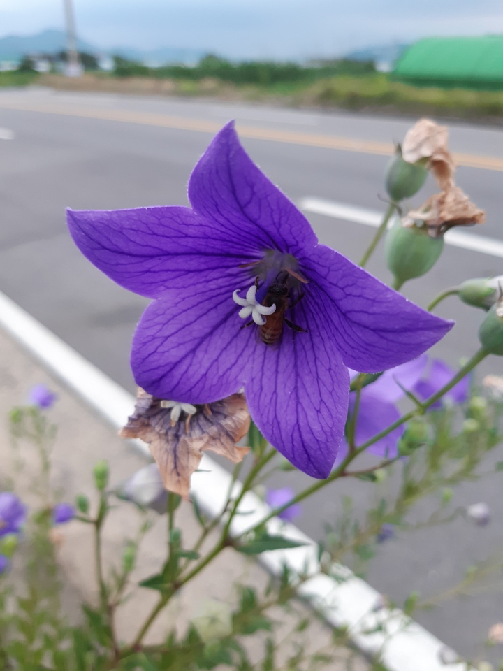 자세히보시지요