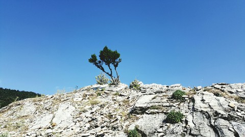 Doğanın Yalnız Kalışı [Background]