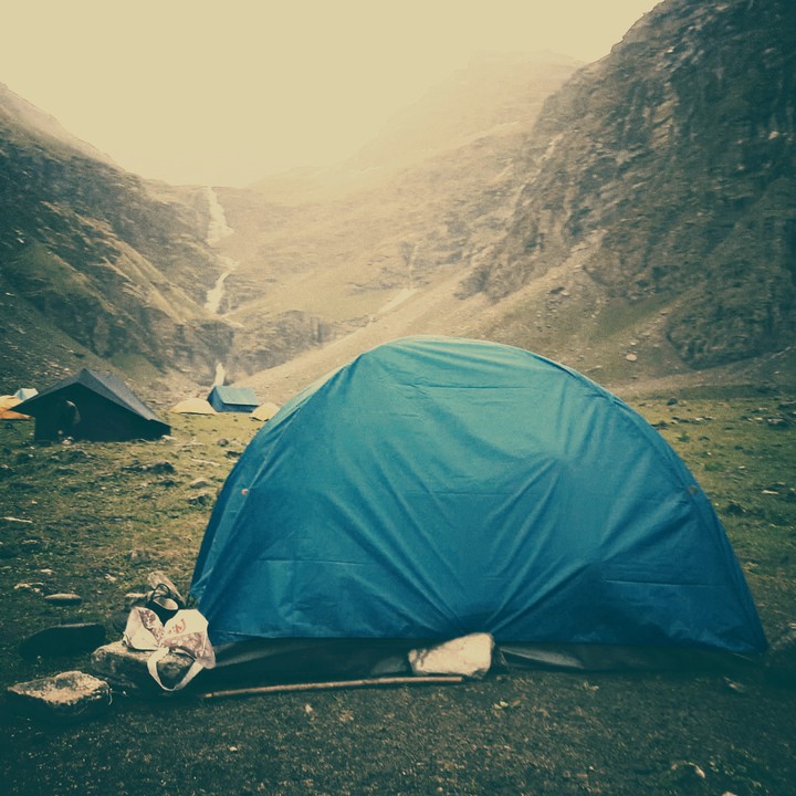 LIVING MY LIFE IN THE FOREST....