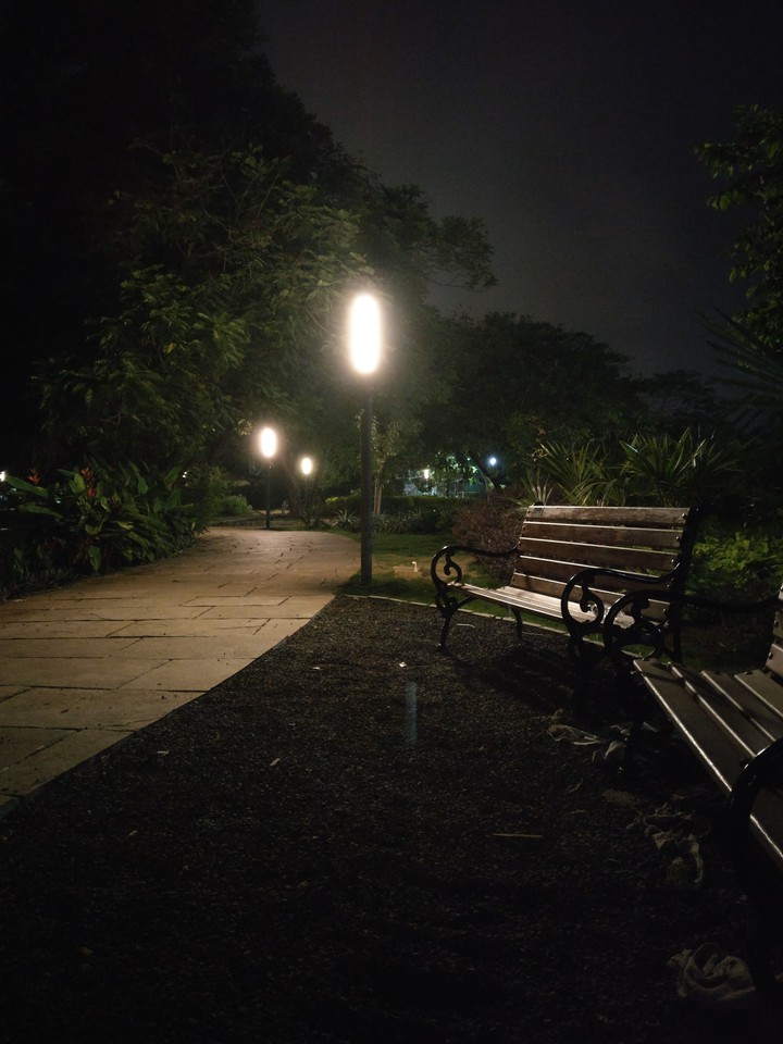 Bench in park