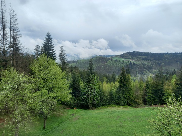 Wiosna