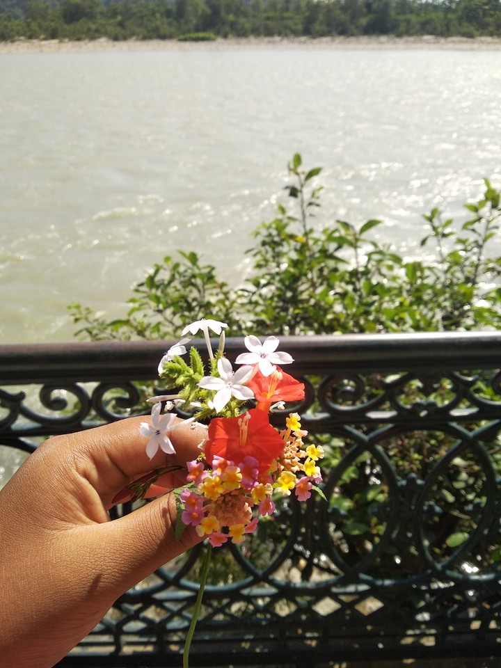 Handpicked Flowers