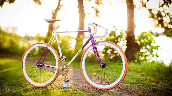 cycle