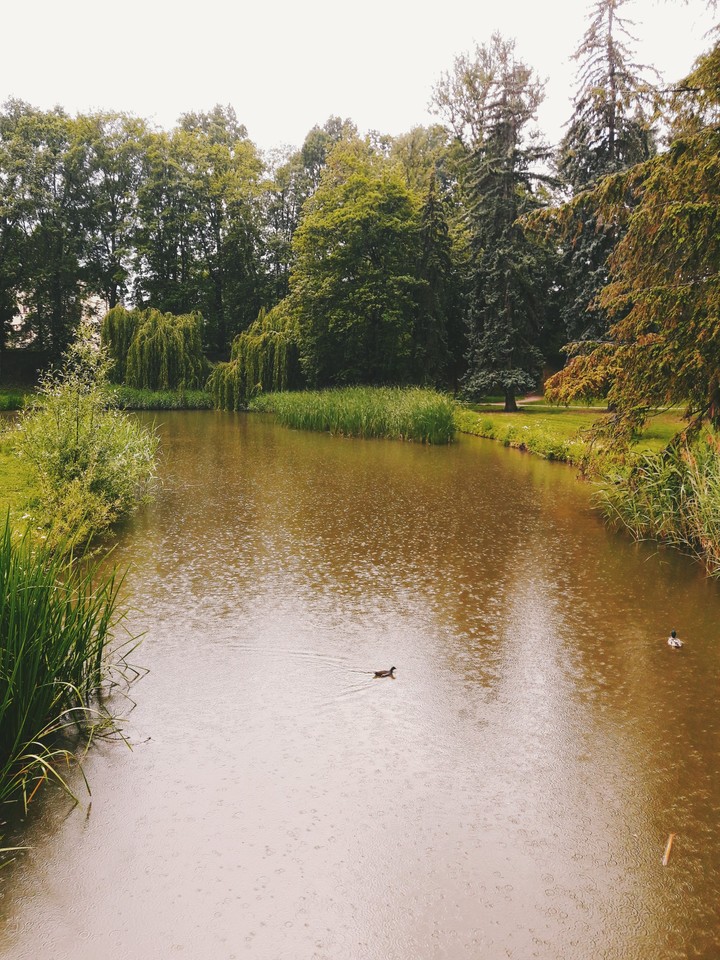 Rainy happy day