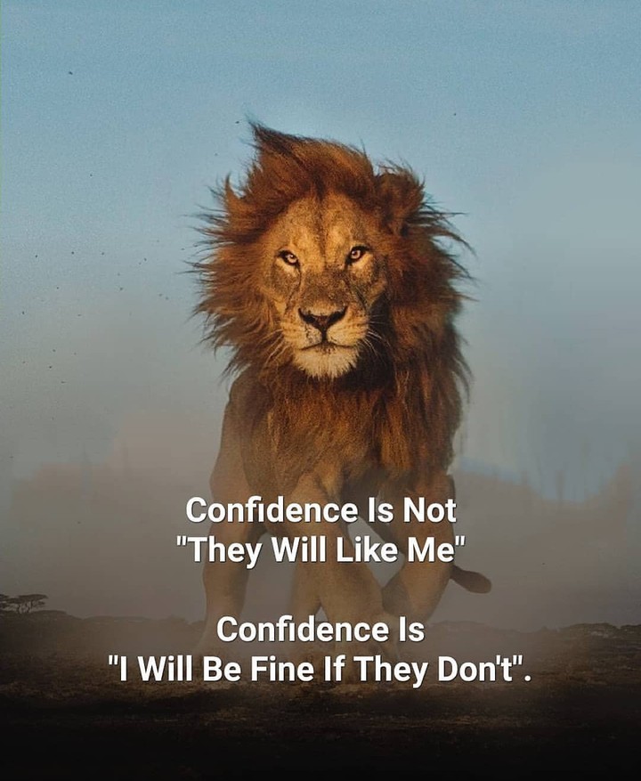 Quotes