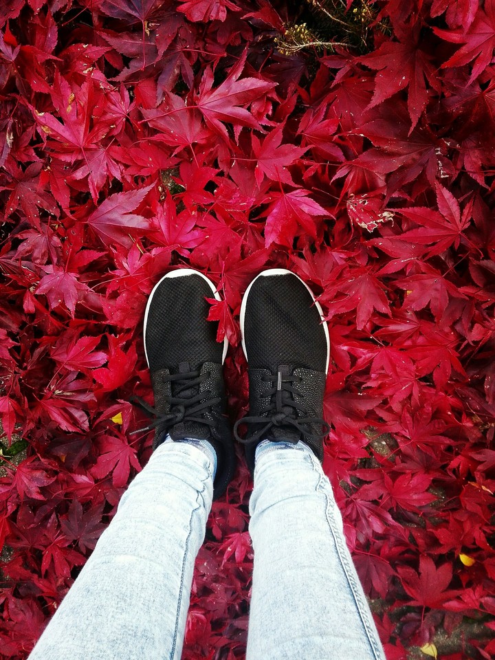 autum