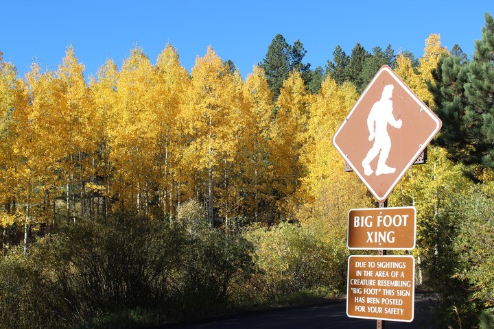 Bigfoot Country