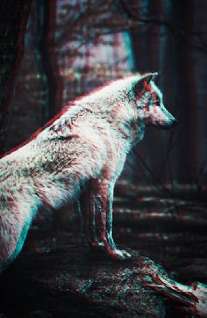 Hipster Wolf