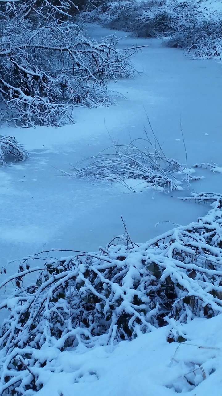 Definition of Winter