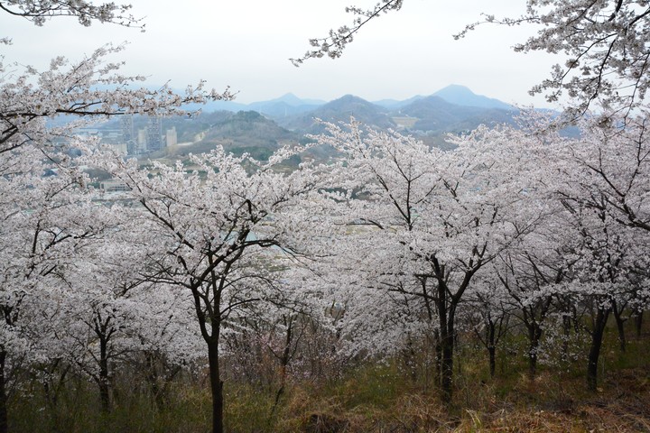 풍경이미지