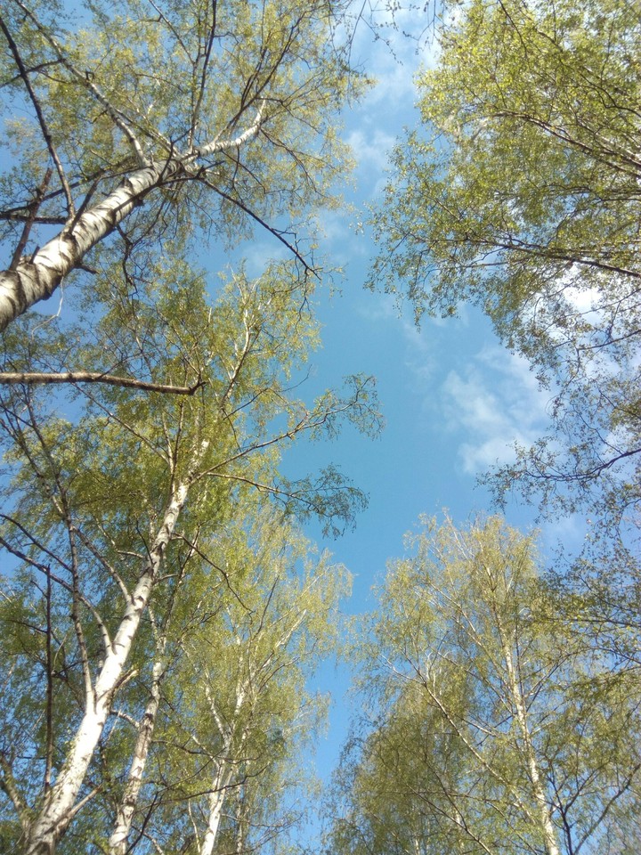 sky