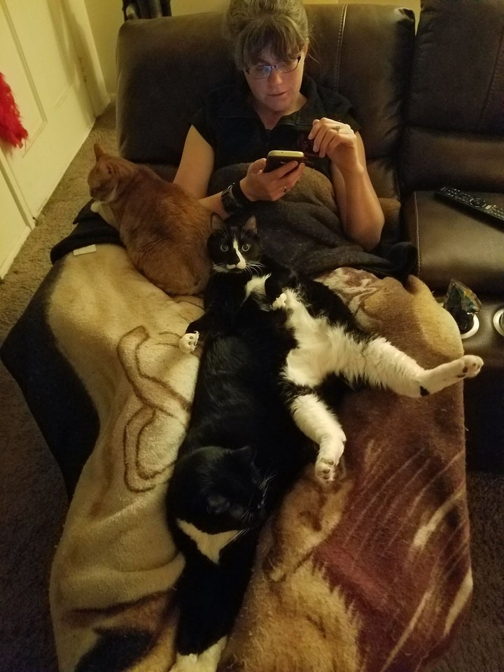 cat's, gotta love them