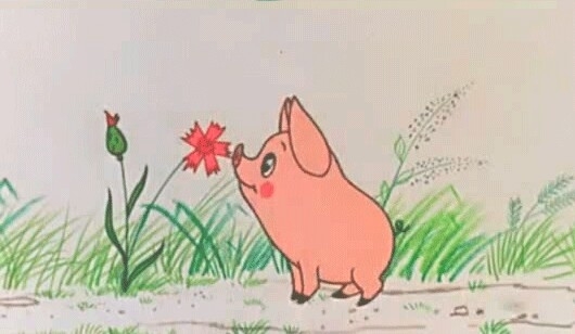 piggy