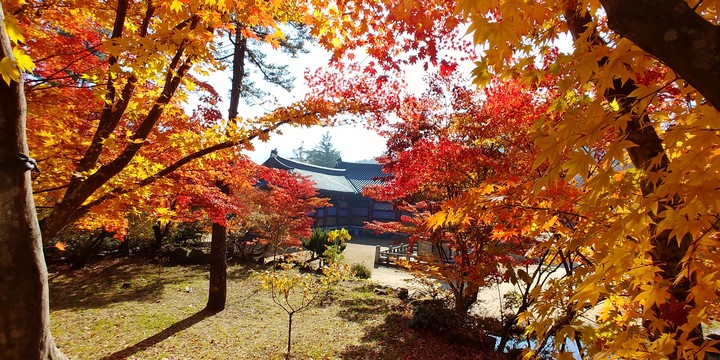 가을