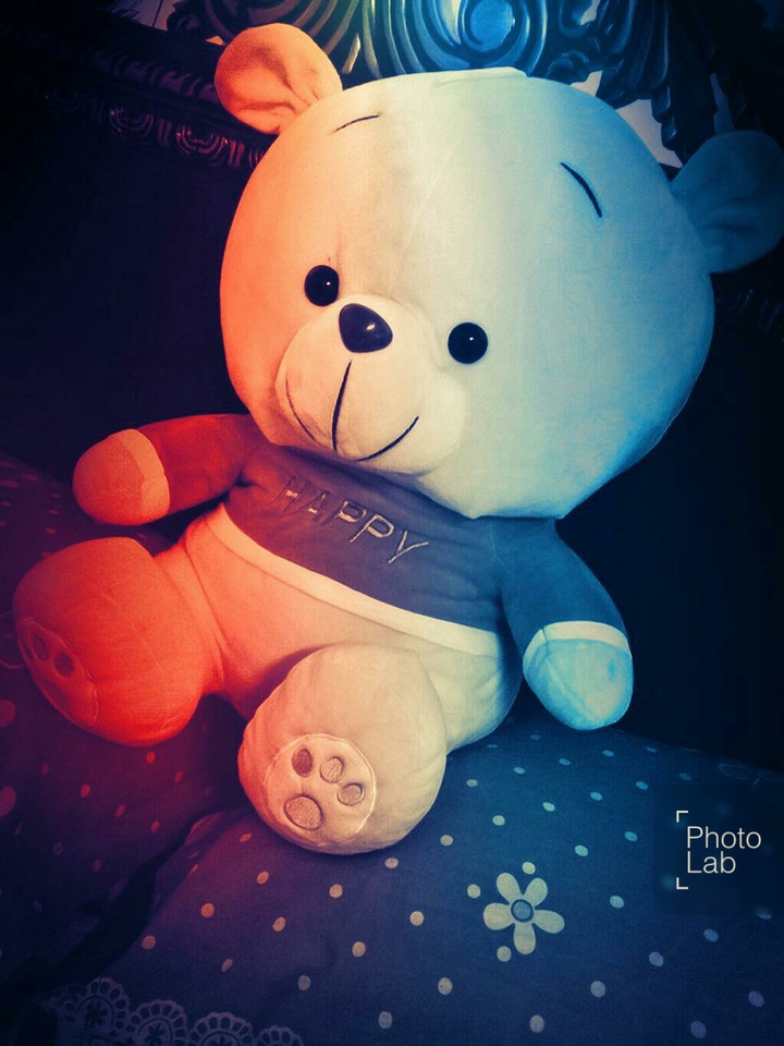 Teddy