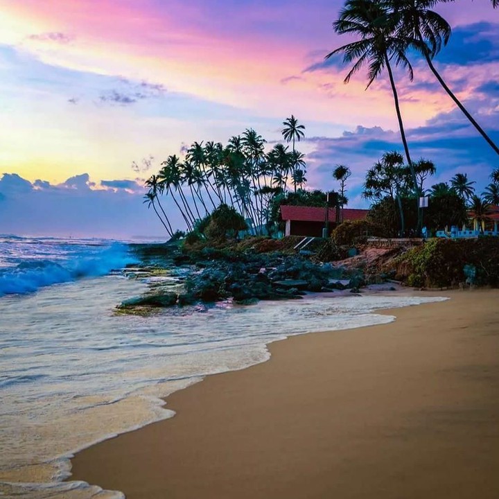 Ocean