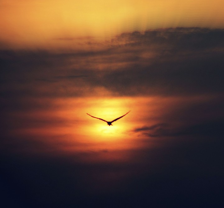 SkyKing!!