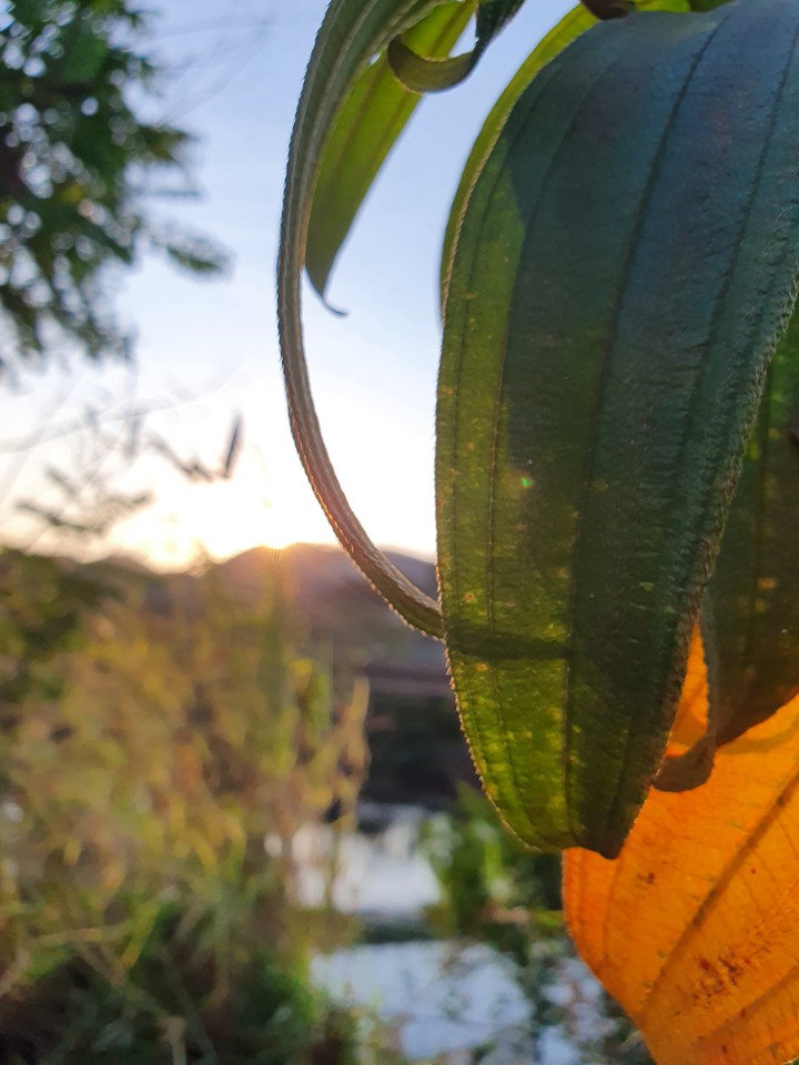 fim de tarde