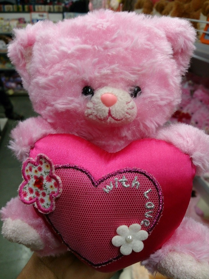 Teddy's love