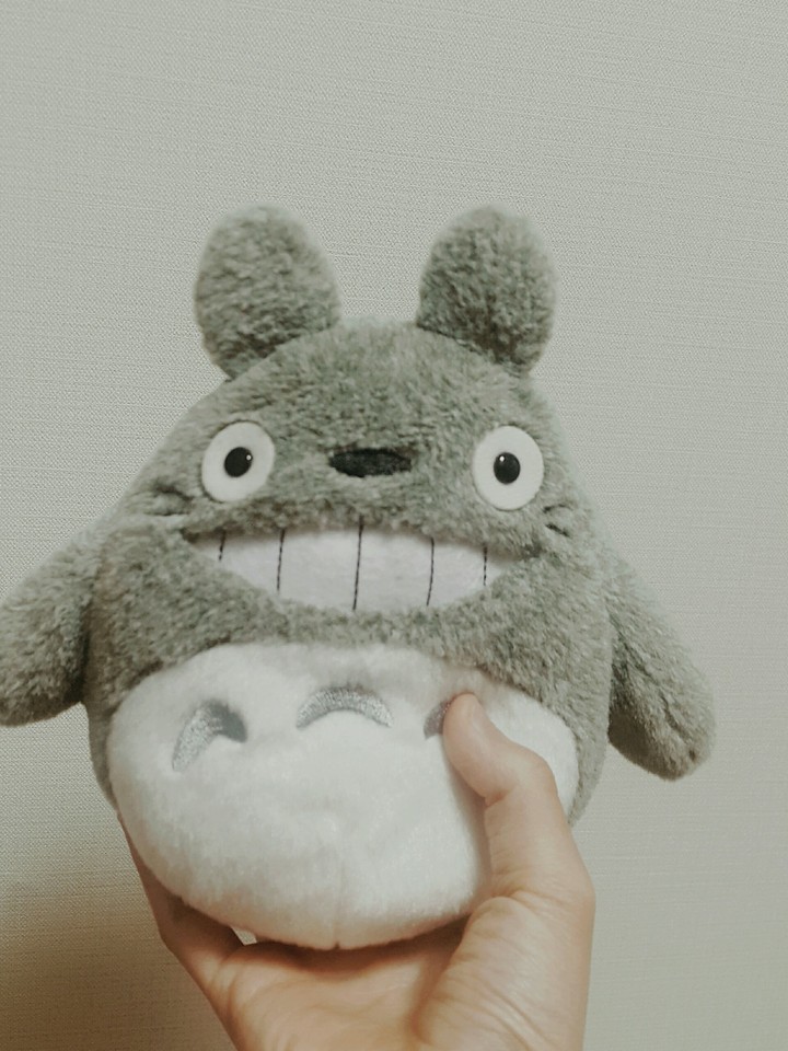 내 토토로