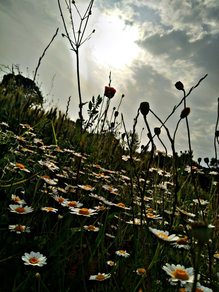 huzur 