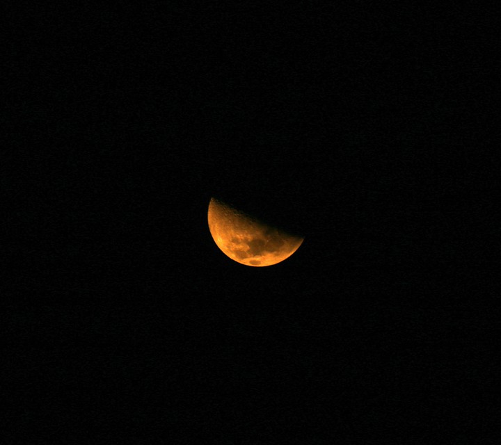 Harvest Moon