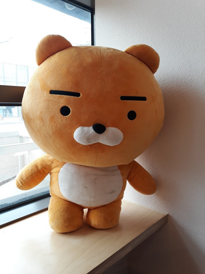라이언