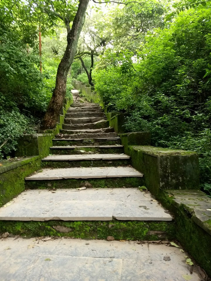 path to ambition