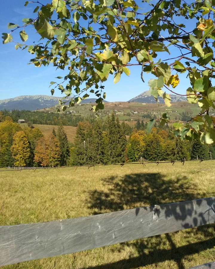 Carpathian Mountains, Ukraine