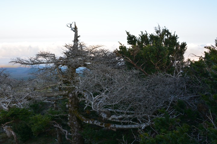 한라산이미지