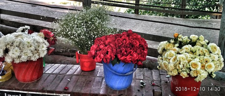 Flower