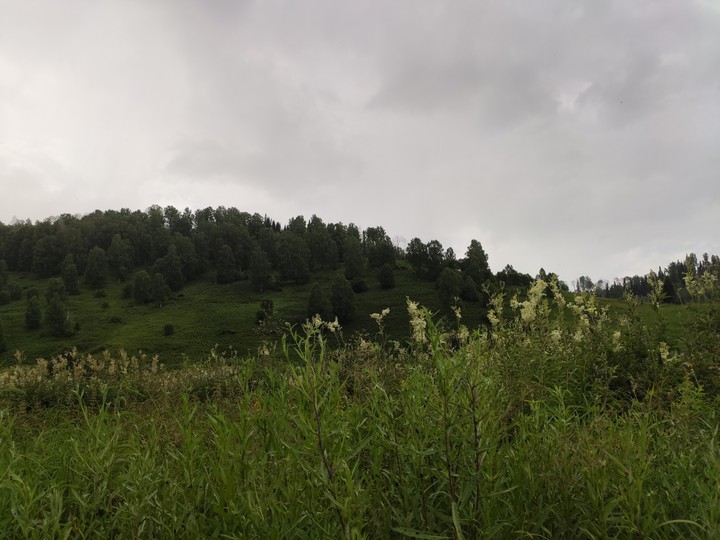 mountain