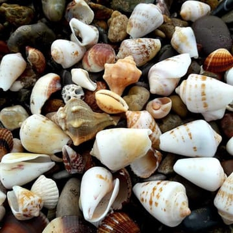 Sfondi
