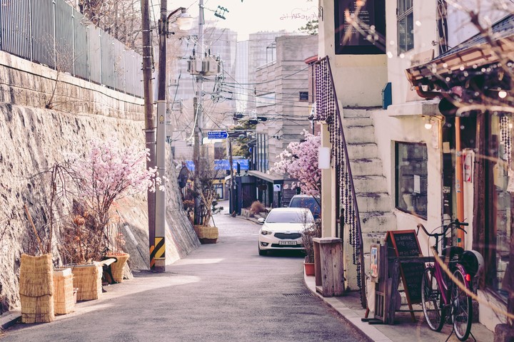 겨울이지만 벌써 따뜻하다