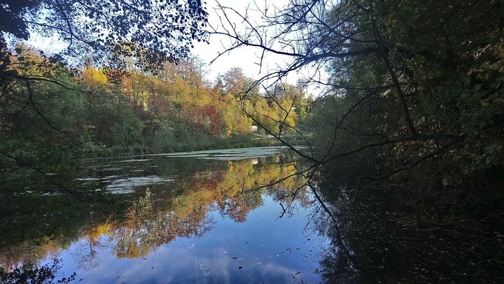 Entspannung am Teich
