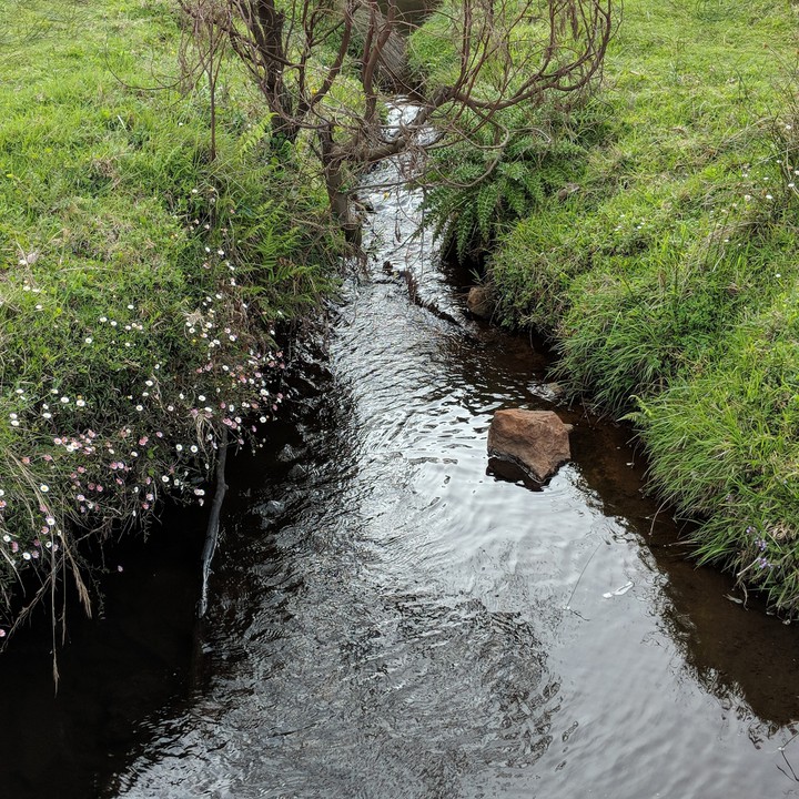 #stream