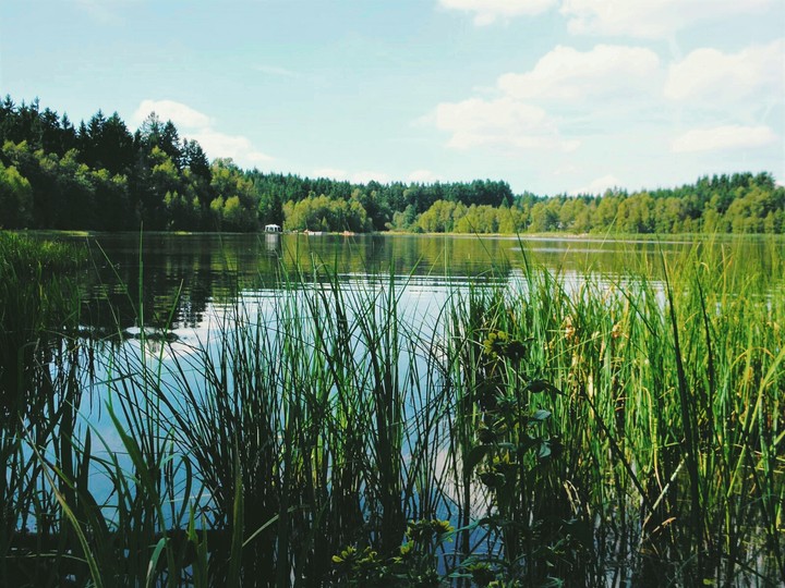 Pond