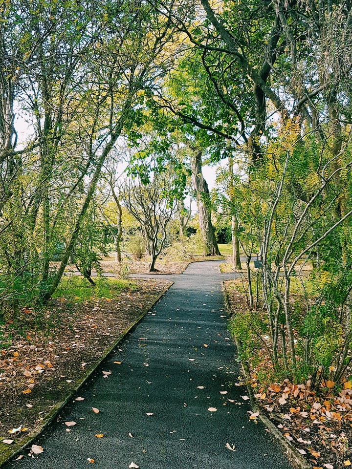 Path