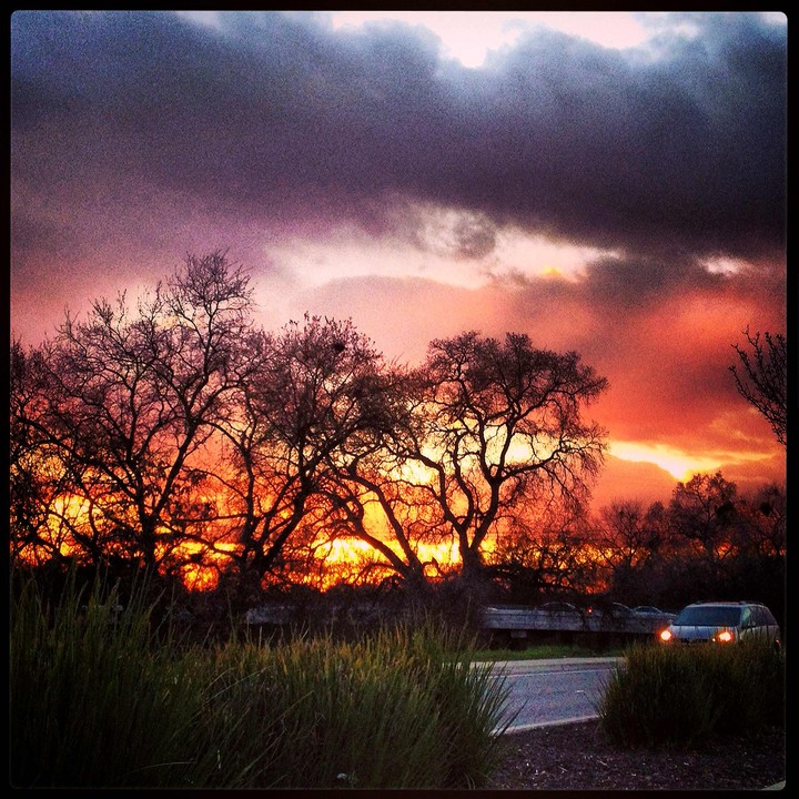 Sacramento Nights