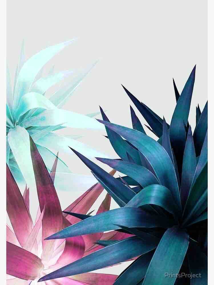 и