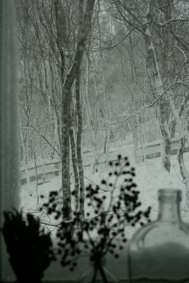 Winter in New England