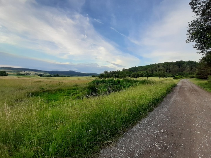 Trail up a hill