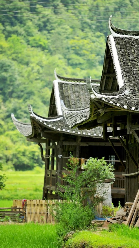 green hills