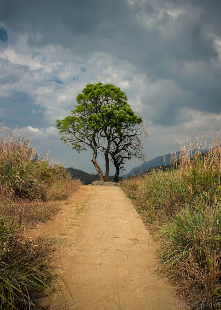 lonely planet
